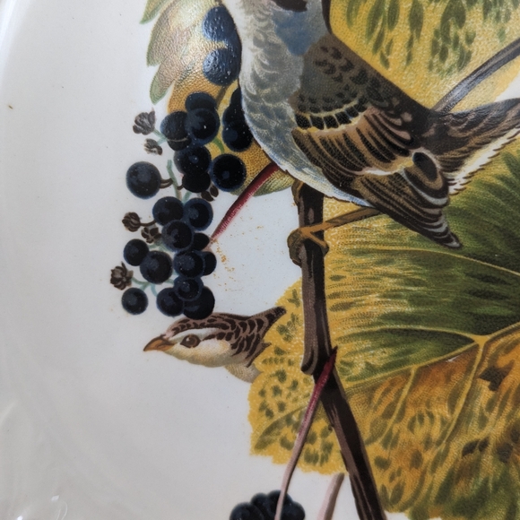 Vintage Alfred Meakin White Crowned Sparrow Plate - Picture 2 of 5